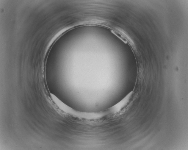 X0000081290948200701251649