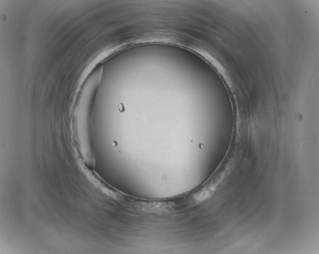 X0000081290949200701251649