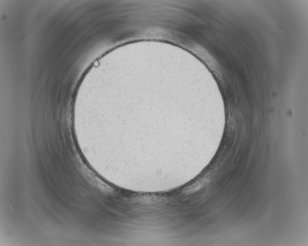 X0000081290950200701251649