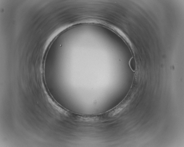 X0000081290951200701251649