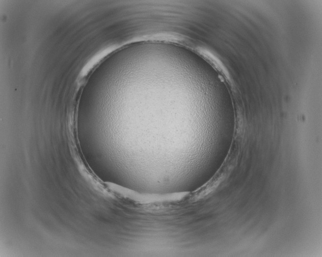 X0000081290952200701251649