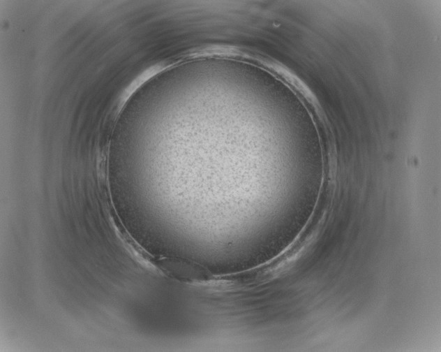 X0000081290953200701251649