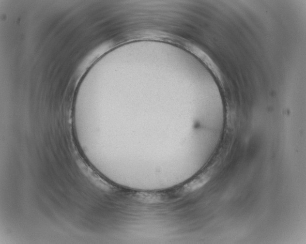 X0000081290954200701251649