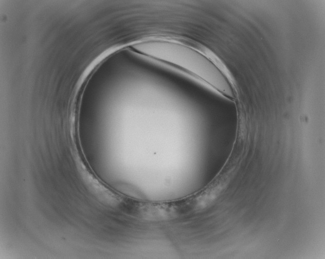 X0000081290955200701251649