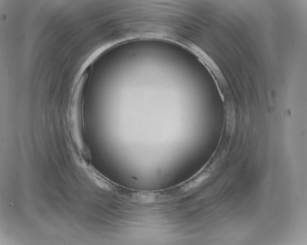 X0000081290956200701251649