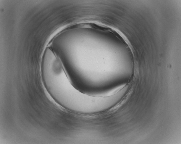 X0000081290957200701251649