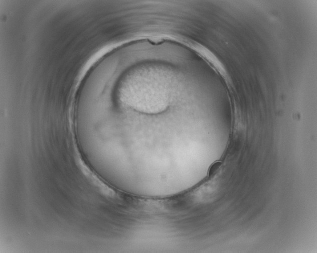 X0000081290958200701251650