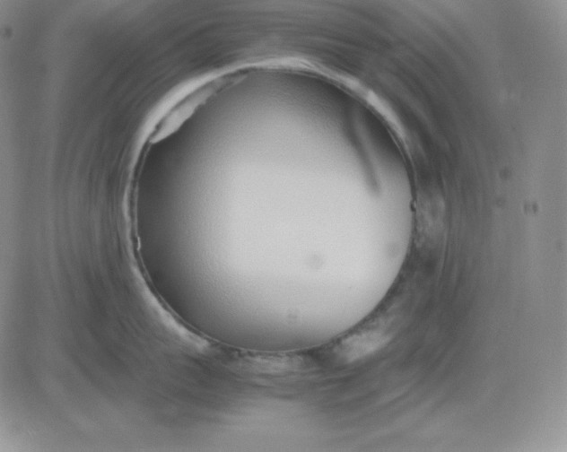 X0000081290959200701251650