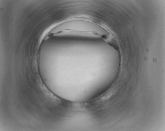 X0000081290960200701251650