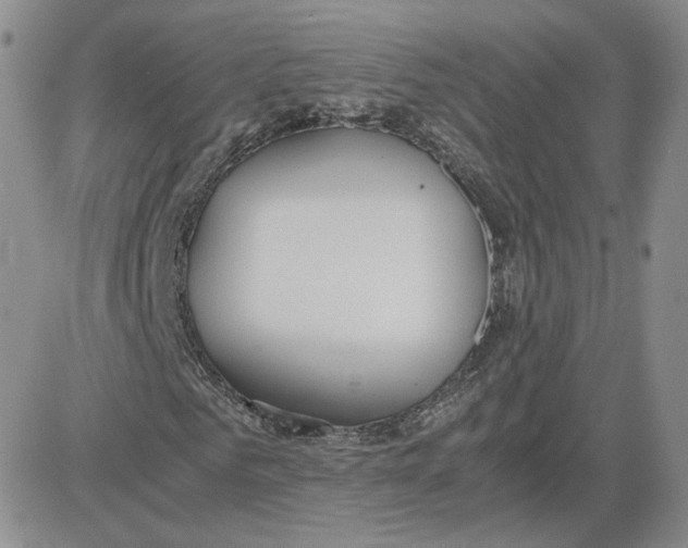 X0000081290961200701251649