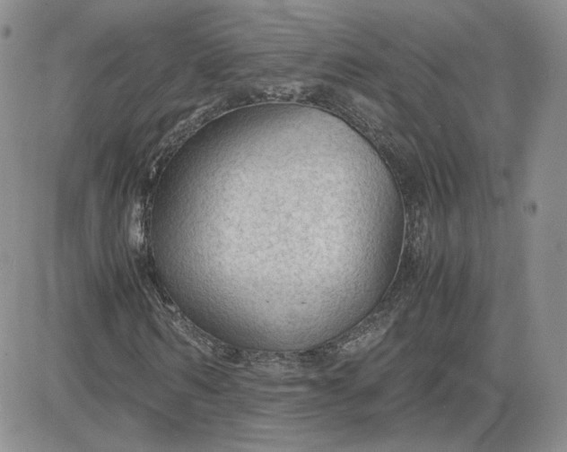 X0000081290962200701251649