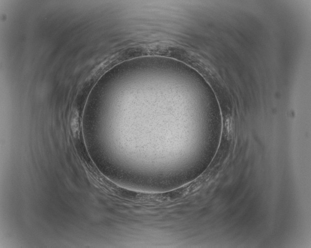 X0000081290963200701251649