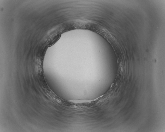 X0000081290964200701251649