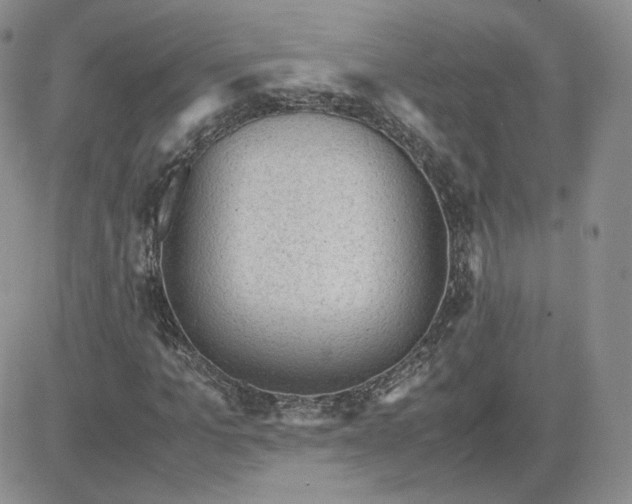 X0000081290965200701251649