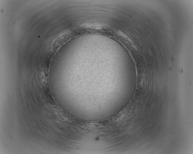 X0000081290966200701251649