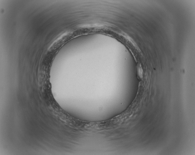 X0000081290967200701251649