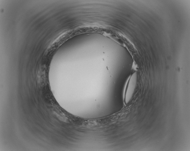 X0000081290968200701251649