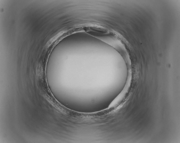 X0000081290969200701251649