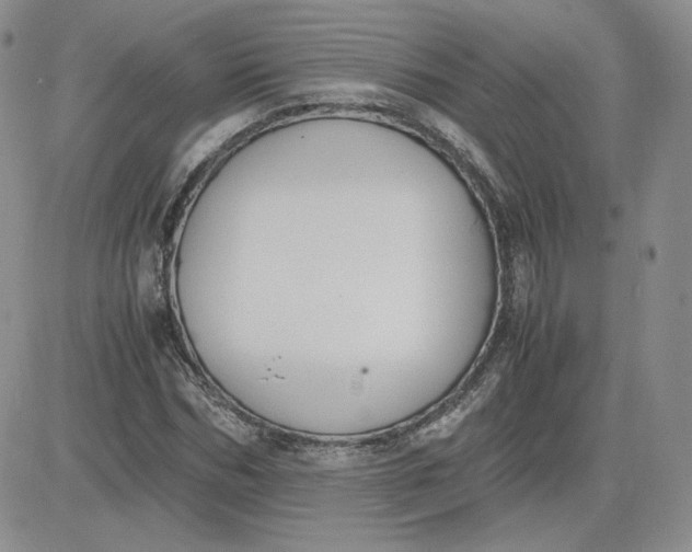 X0000081290970200701251649