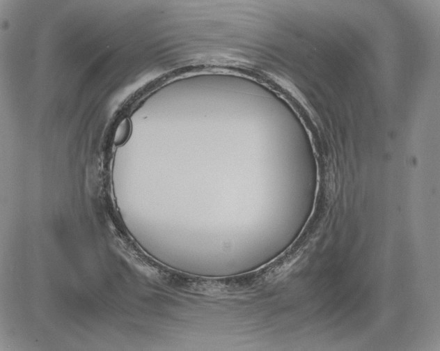 X0000081290971200701251649