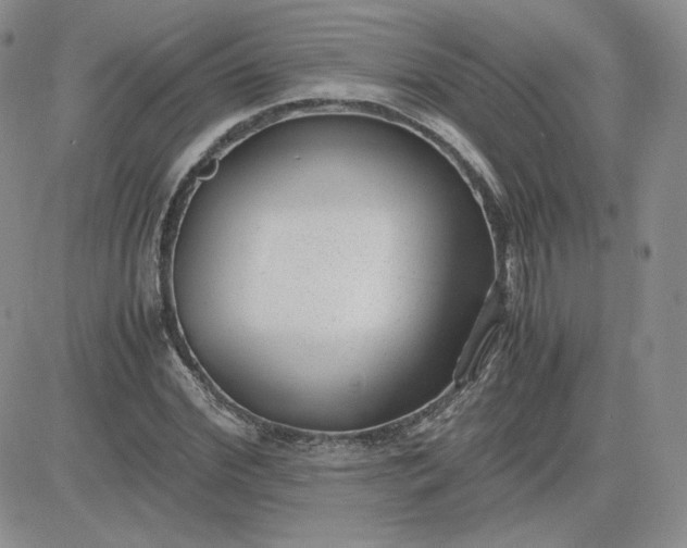 X0000081290972200701251649