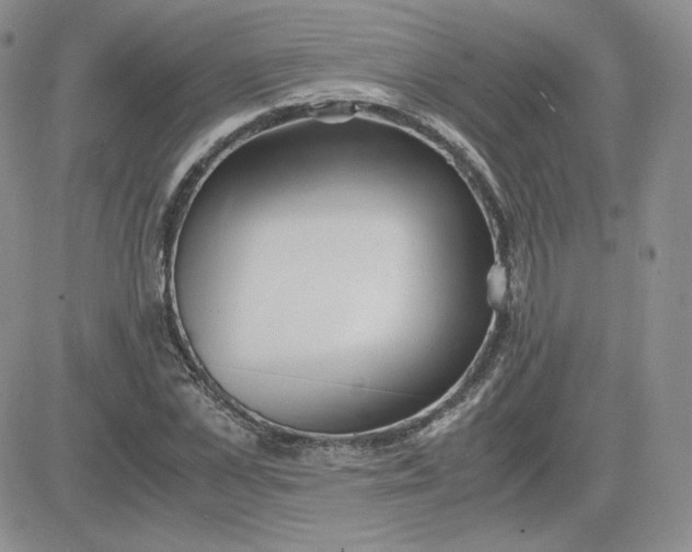 X0000081290973200701251649