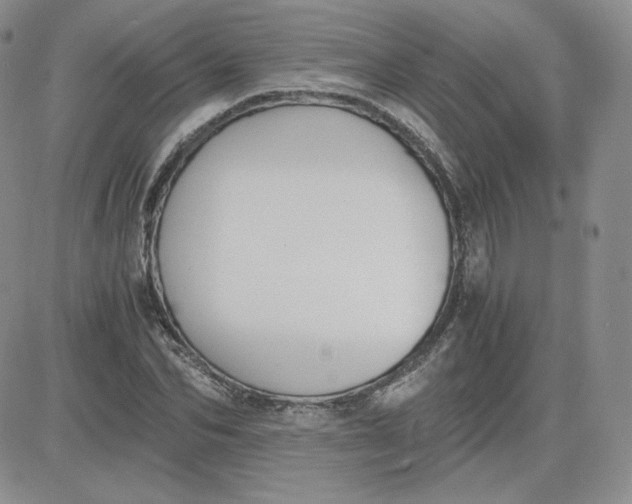 X0000081290974200701251649