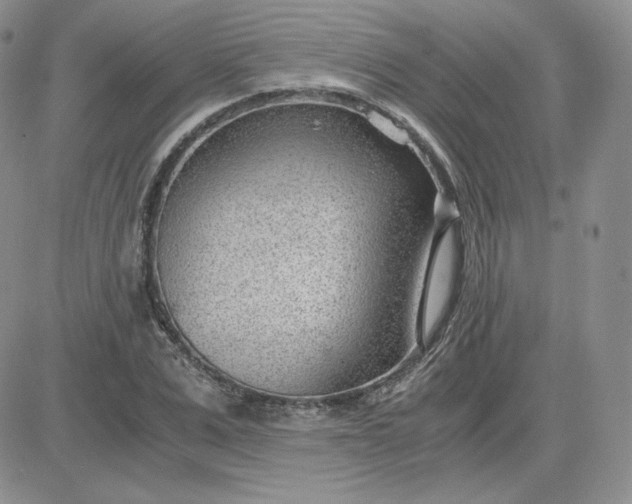 X0000081290975200701251649