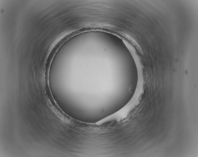 X0000081290976200701251649