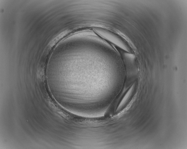 X0000081290977200701251649