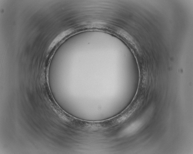 X0000081290978200701251648