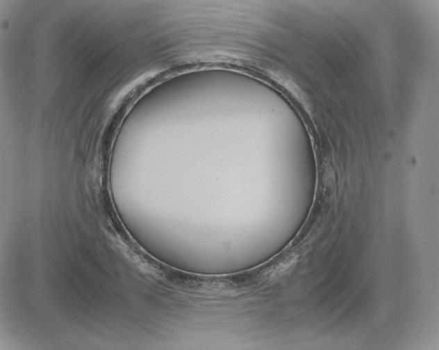 X0000081290979200701251648