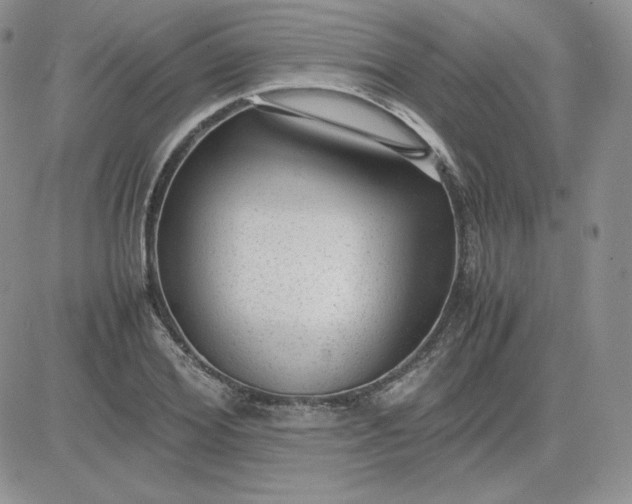 X0000081290980200701251648