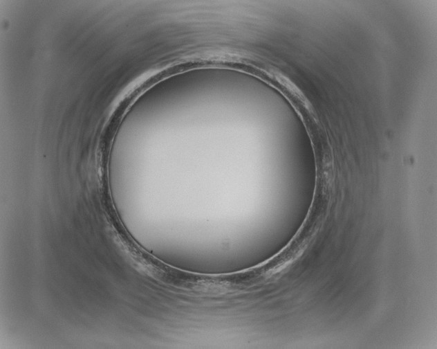 X0000081290981200701251648