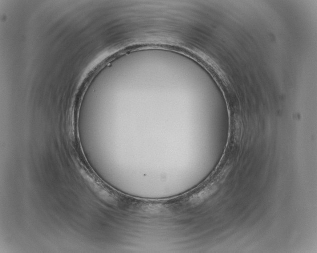 X0000081290982200701251648