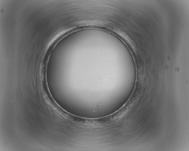 X0000081290983200701251648