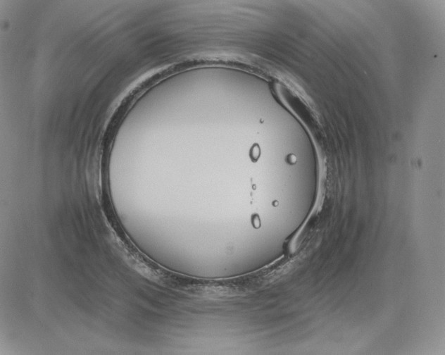 X0000081290984200701251648