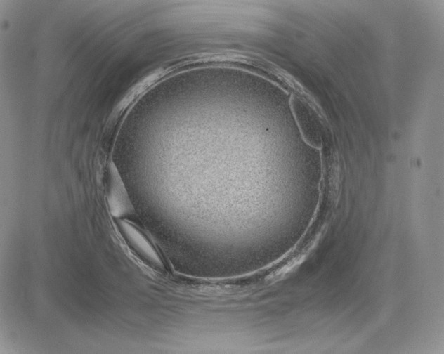 X0000081290985200701251648