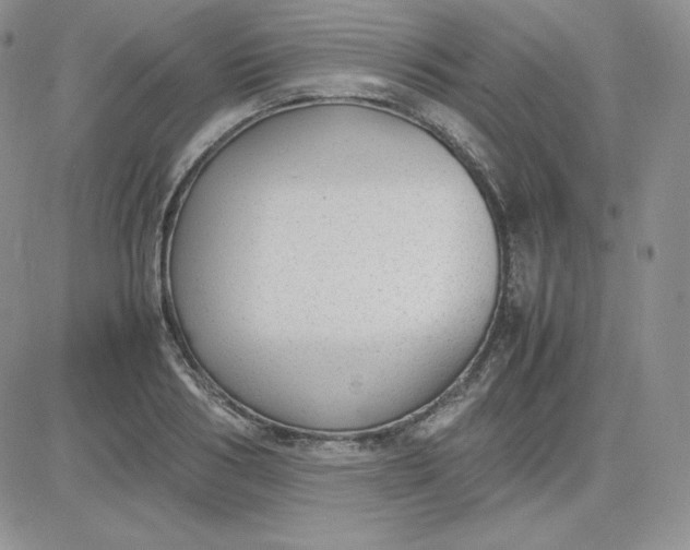 X0000081290986200701251648