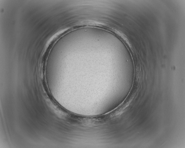 X0000081290987200701251648