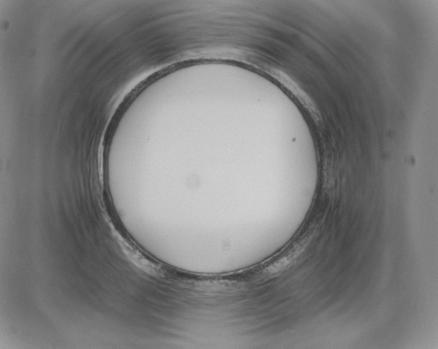 X0000081290988200701251648