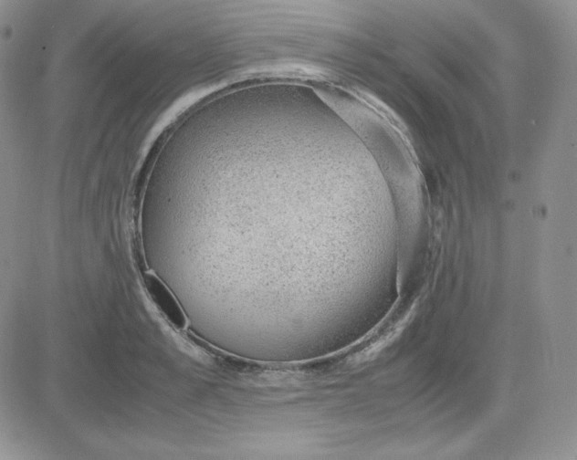 X0000081290989200701251648