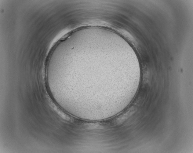 X0000081290990200701251648