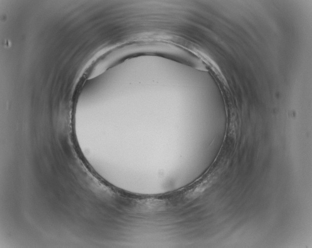 X0000081290992200701251648