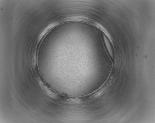 X0000081290994200701251648