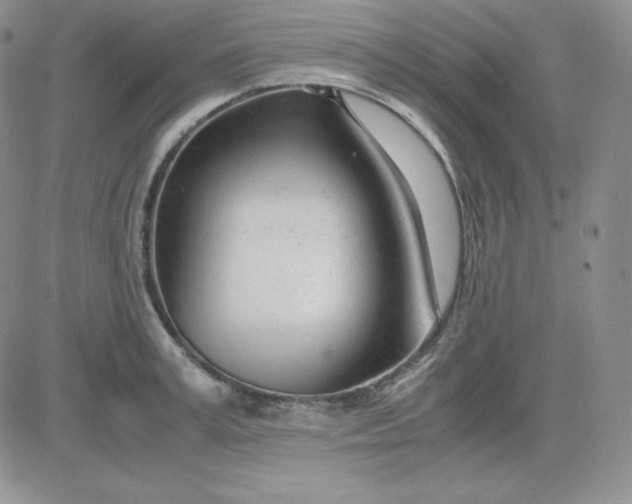 X0000081290995200701251648