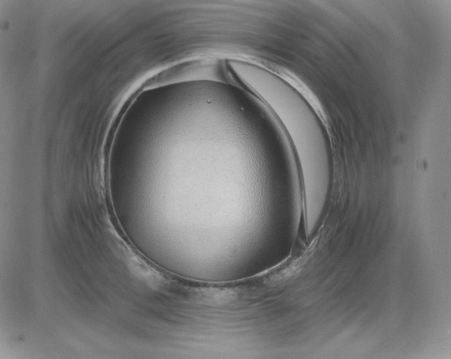 X0000081290996200701251648