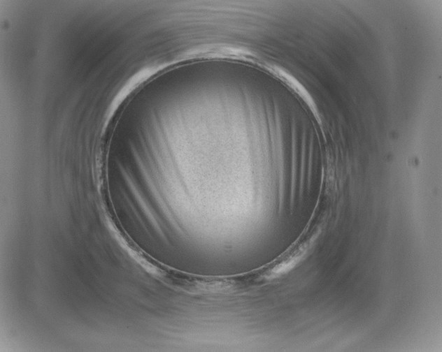 X0000081290997200701251648