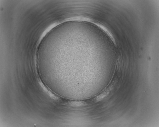 X0000081290998200701251648