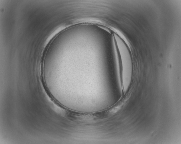 X0000081290999200701251648